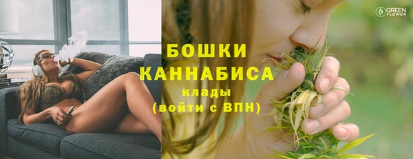 спайс Гвардейск