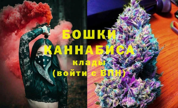 PSILOCYBIN Пролетарск