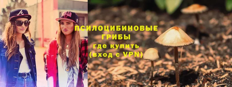 Псилоцибиновые грибы Psilocybine cubensis  магазин продажи наркотиков  Прохладный 