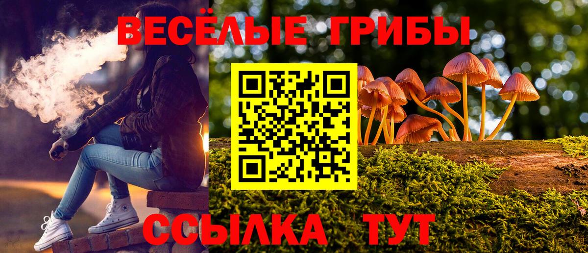 Галлюциногенные грибы мицелий Прохладный