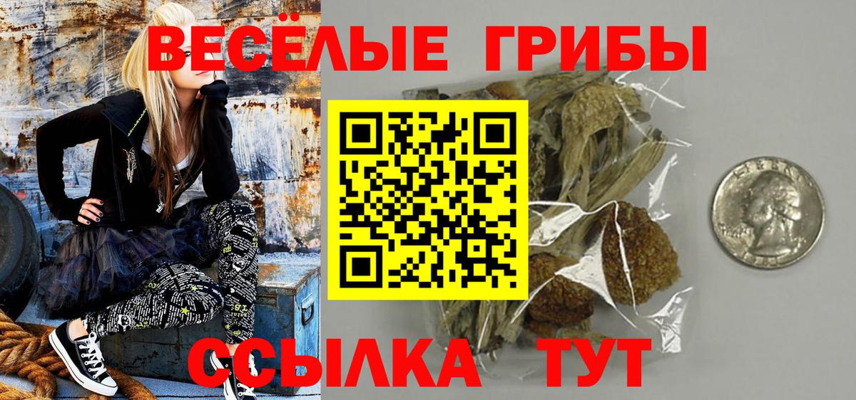 Псилоцибиновые грибы мицелий  где купить наркотик  Прохладный  Вход с VPN  Псилоцибиновые грибы Cubensis 